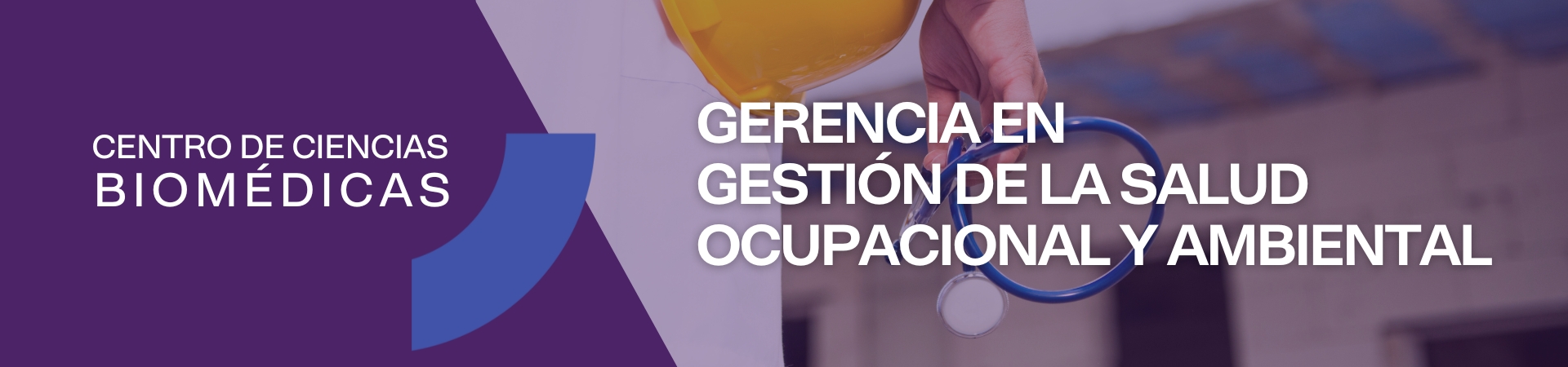 Gerencia en Gestión de la Salud Ocupacional y Ambiental